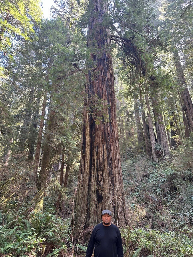 Bady at Redwood National Forest