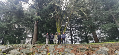 Alash at Redwood National Forest